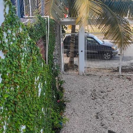Apartmán Departamento Centrico Con Estacionamiento Felipe Carrillo Puerto Exteriér fotografie