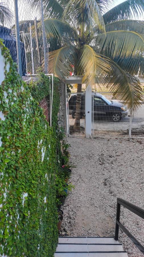 Apartmán Departamento Centrico Con Estacionamiento Felipe Carrillo Puerto Exteriér fotografie